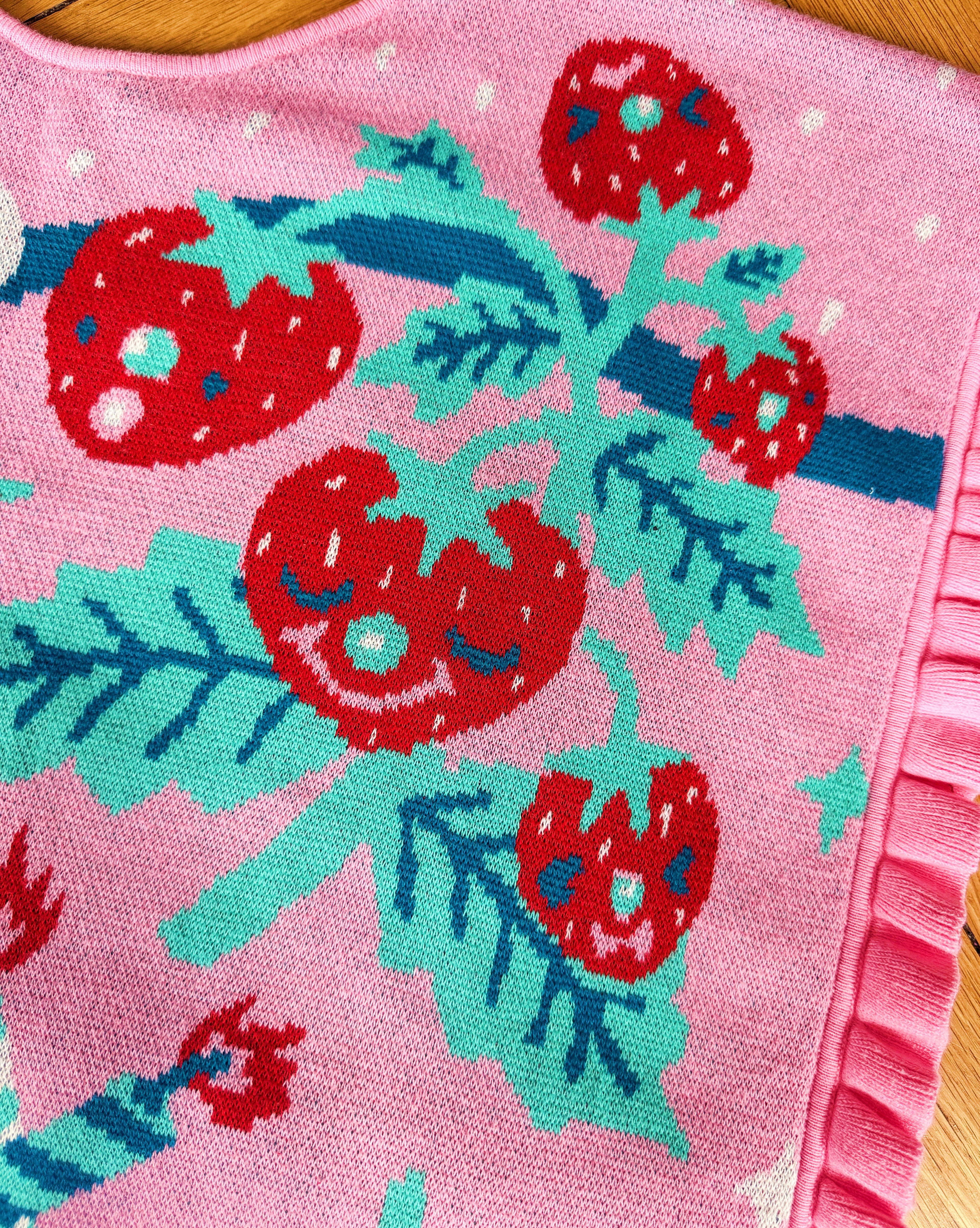 Strawberry Shortcake (4 in 1) Reversible Vest!